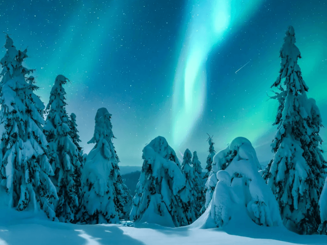 Aurora borealis glowing above snow-covered pine trees in Lapland’s winter night forest.